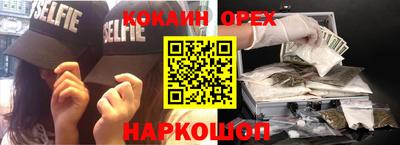шишки Камышлов