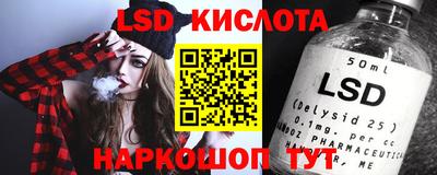шишки Камышлов