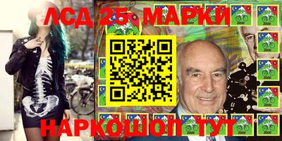 шишки Камышлов