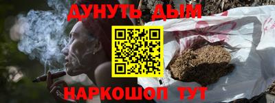 шишки Камышлов