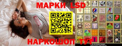 шишки Камышлов
