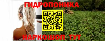 бошки Канаш
