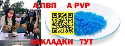 шишки Камышлов