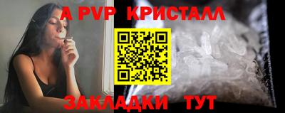 шишки Камышлов