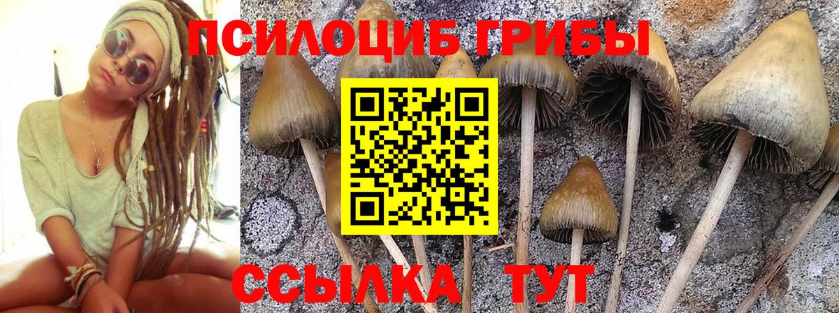 Псилоцибиновые грибы ЛСД Лесной